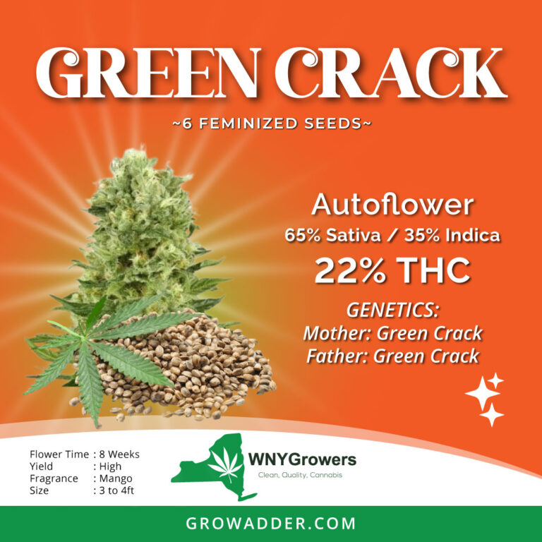 Seeds Growadder
