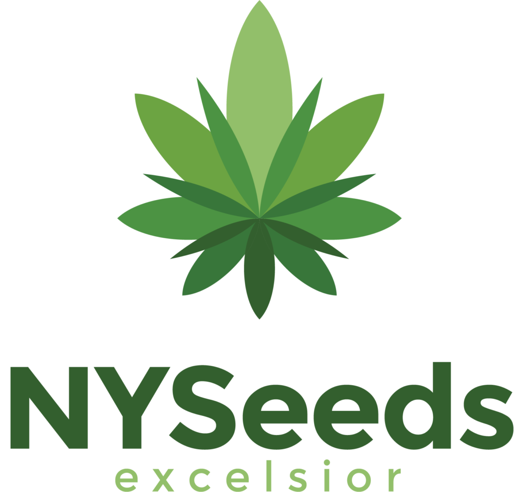 Apple Fritter Auto Seeds Growadder