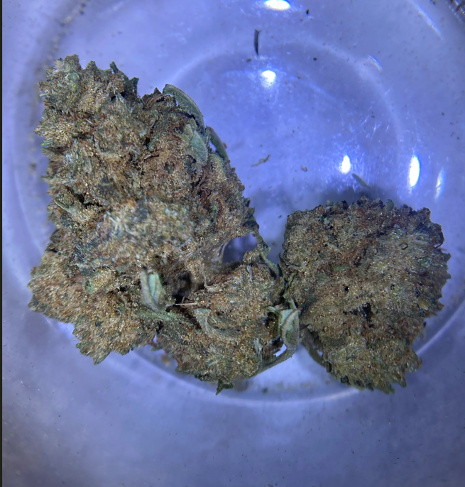 13056364-F450-4E68-9ADE-87D9B3F6AC86